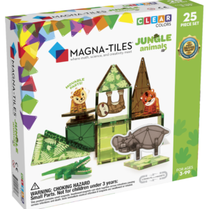 magna tiles transparent
