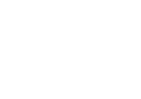 LinkedIn Icon